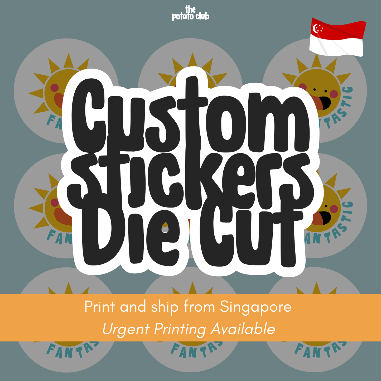 Custom Sticker - Die Cut